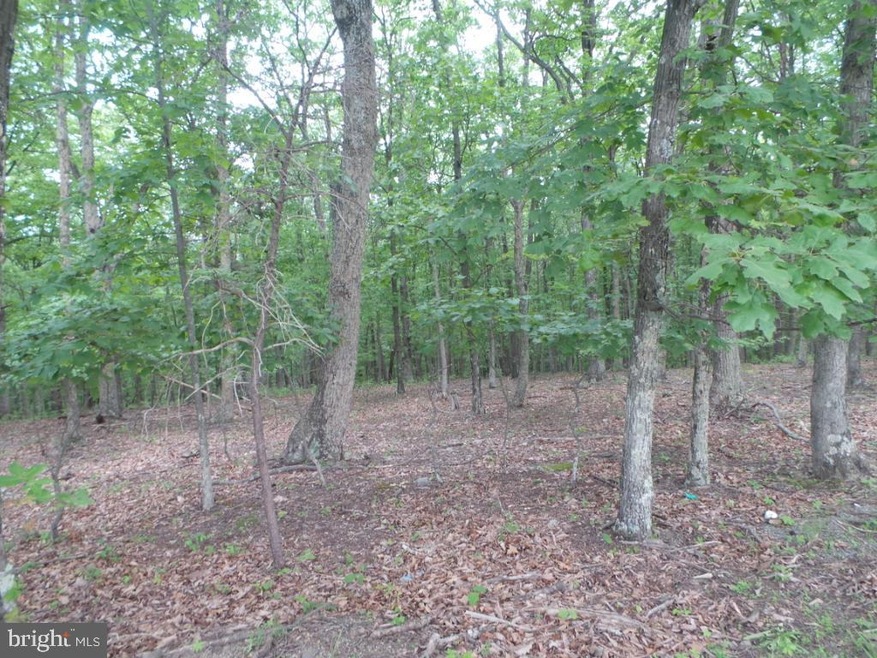 0 Timber Ridge unit WVMO115470, Berkeley Springs, WV 25411 - photo 1