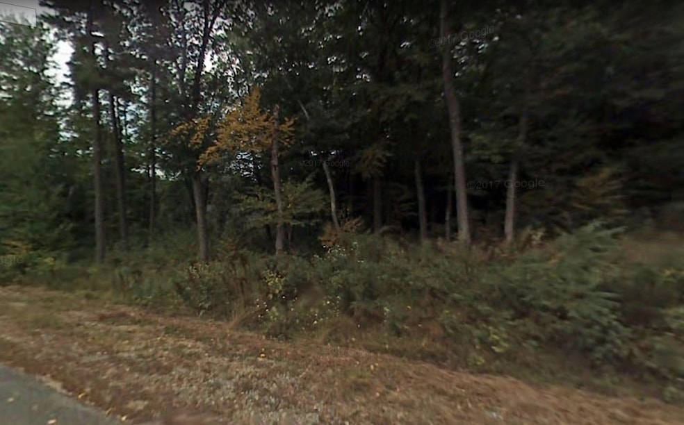 16 Peach Tree Rd, Auburn, NH 03032 - photo 1