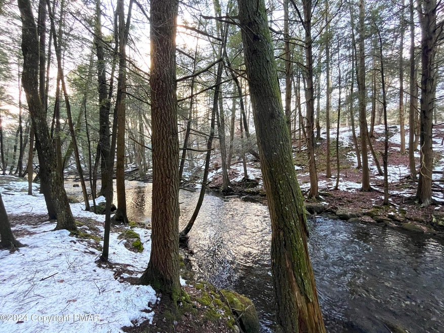River at the Rear of the Property
