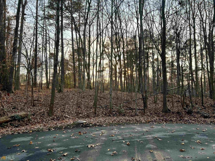 3377 Greenhill Ct, Villa Rica, GA 30180 - photo 1