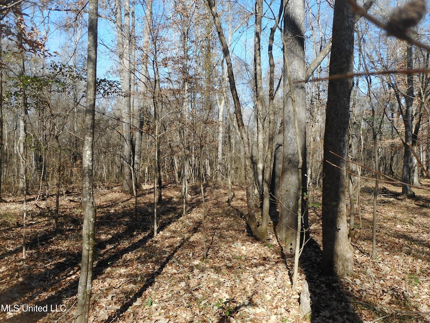 0 Joe Davis Dr, Brandon, MS 39042 - photo 1