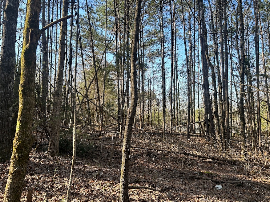 0 County Road 135 unit 25498670, Stevenson, AL 35772 - photo 1