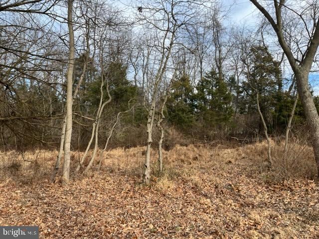 Lot 2 Billmyer Mill Rd, Shepherdstown, WV 25443 - photo 1