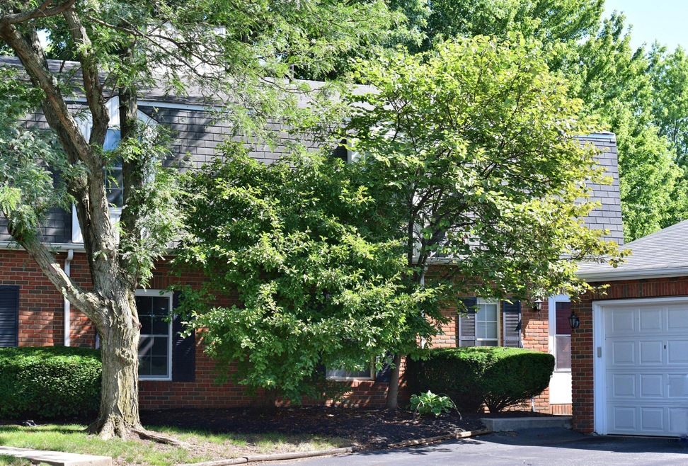 1136 Farmlane Drive