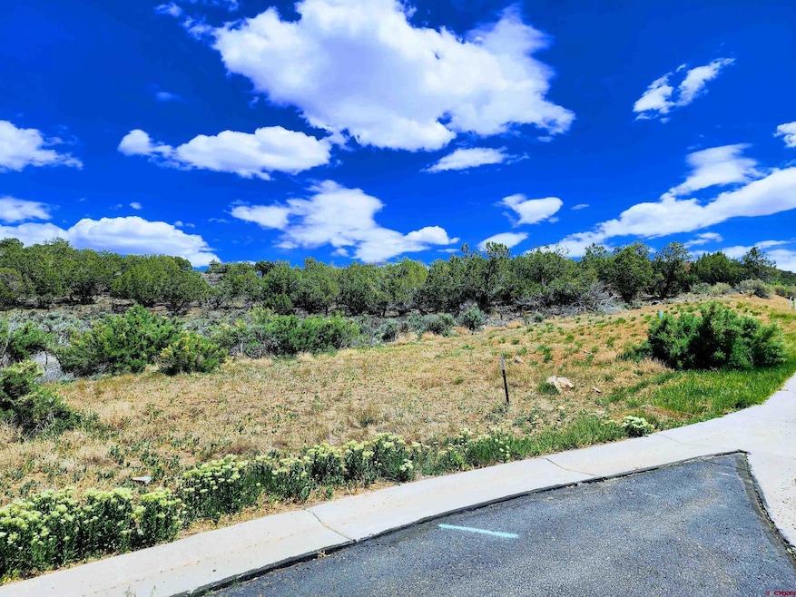 605 & 615 SE Pine St, Cedaredge, CO 81413 - photo 1