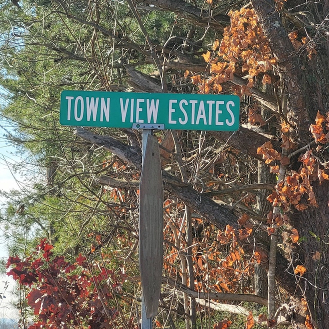 000 Town View Estates unit LOTS 1 & 2, Jamestown, KY 42629 - photo 1