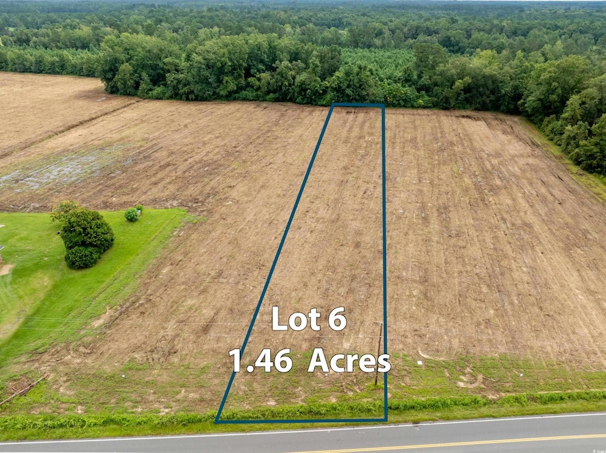 TBD Lot B6 Mount Olive Church Rd, Nichols, SC 29581 - photo 1