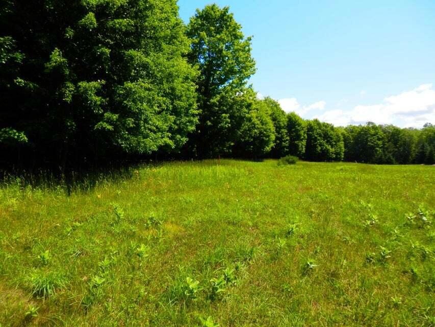 lot 1