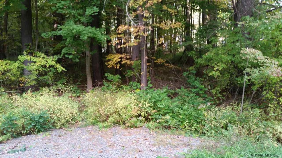 0 Mann Rd unit 201927745, Ballston, NY 12020 - photo 1