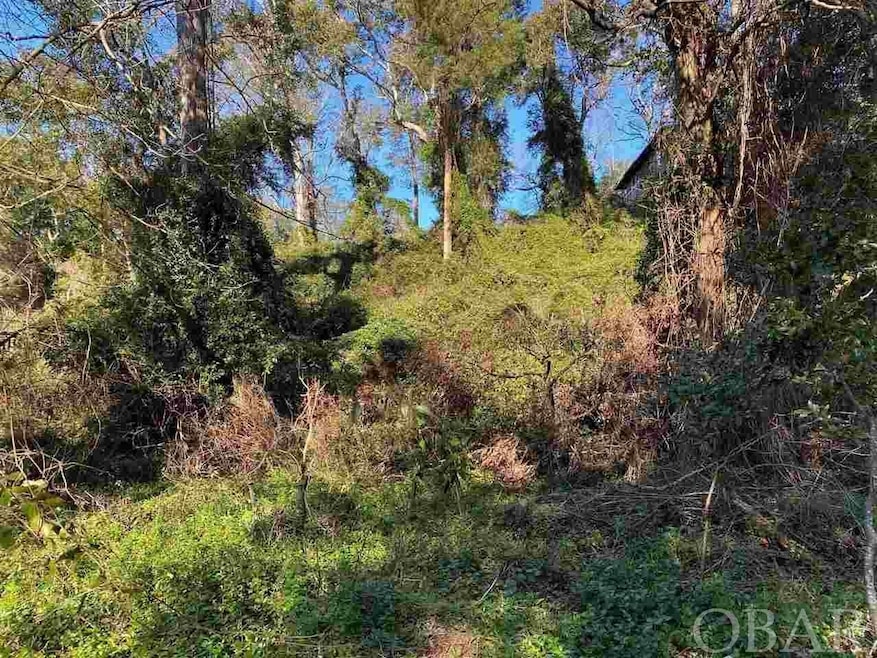 Large Lot in an 'X' flood zone!