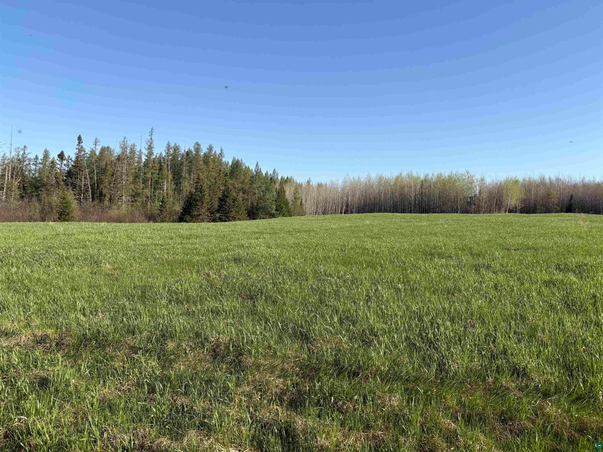 View of tree filled area