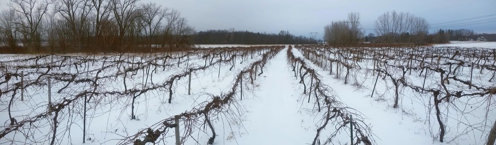 0 Browntown Rd unit 16006394, Bridgman, MI 49106 - photo 1