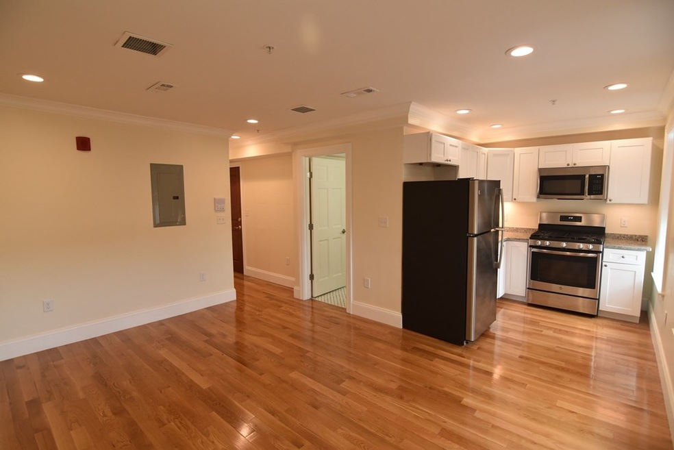 231 Northampton St unit 3, Boston, MA 02118 - photo 1