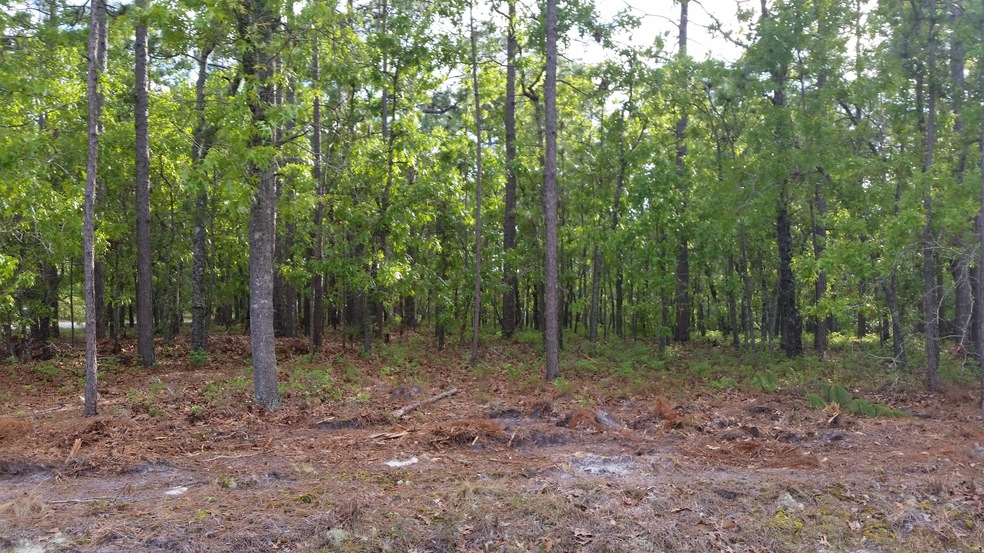 Lot 589