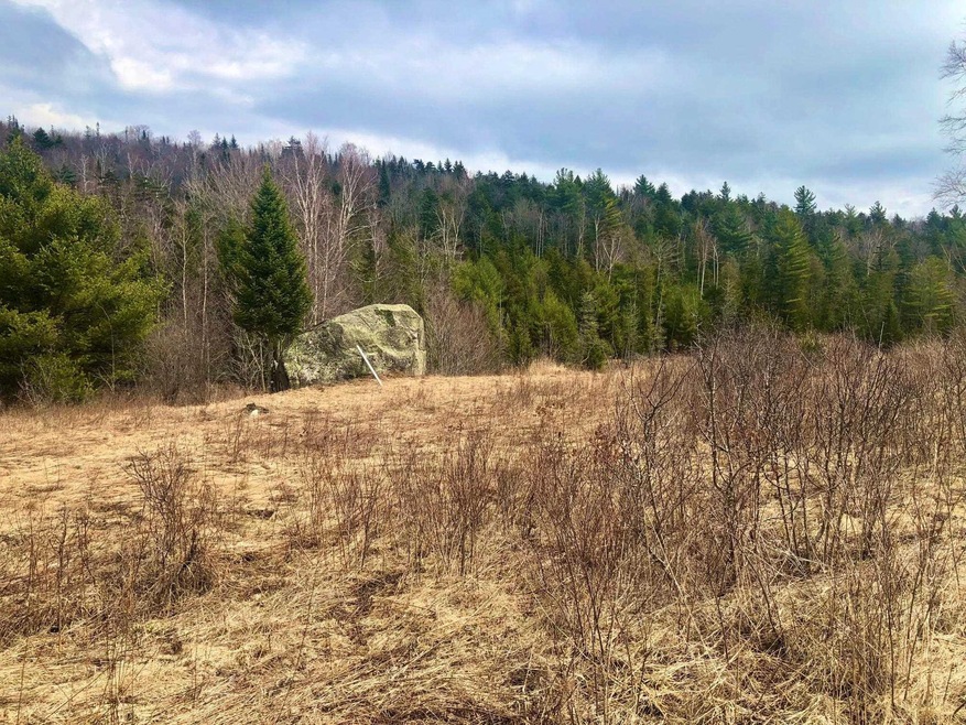 1756 Annis Rd, Groton, VT 05046 - photo 1