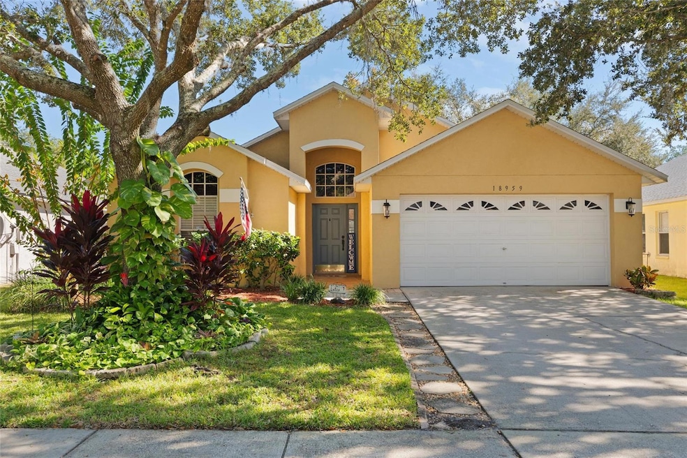 18959 Wood Sage Dr, Tampa, FL 33647 - photo 1