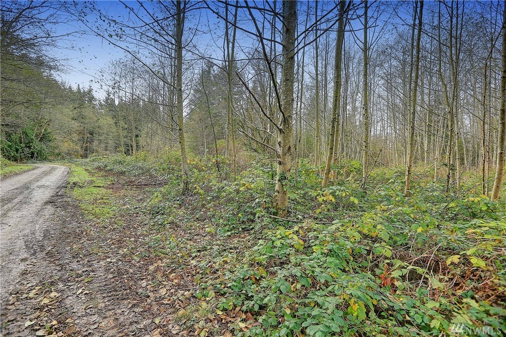 31 58th Ave NW, Stanwood, WA 98292 - photo 1