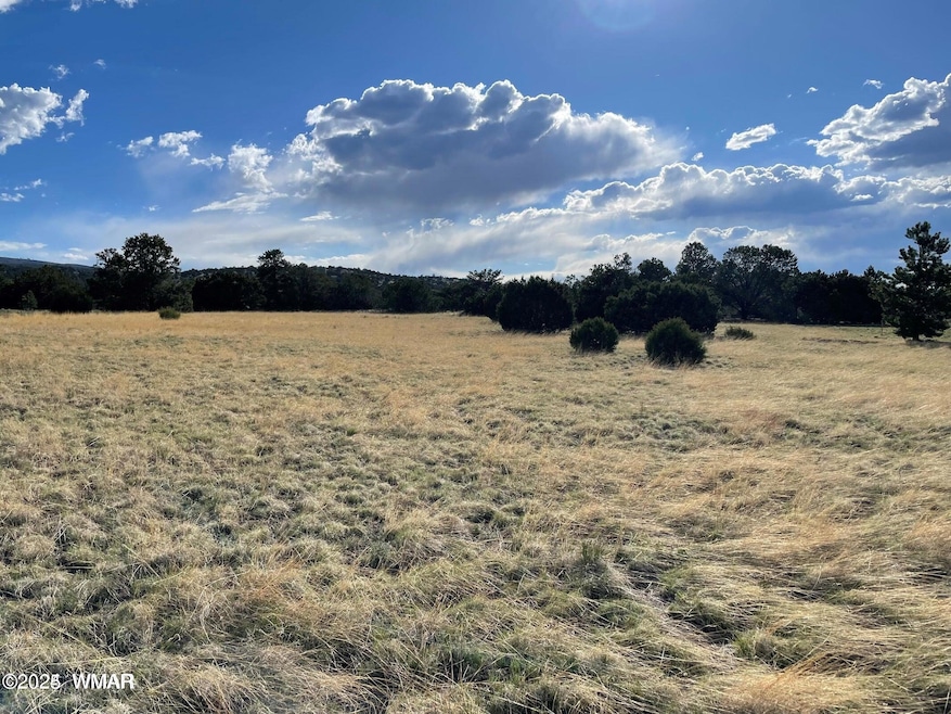 0 Sky Crest Dr unit Lot 45 255492, Eagar, AZ 85925 - photo 1