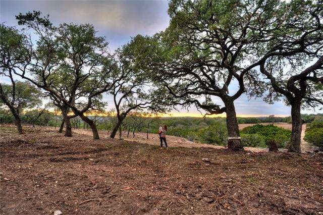 503 Bridal Path, Dripping Springs, TX 78620 - photo 1