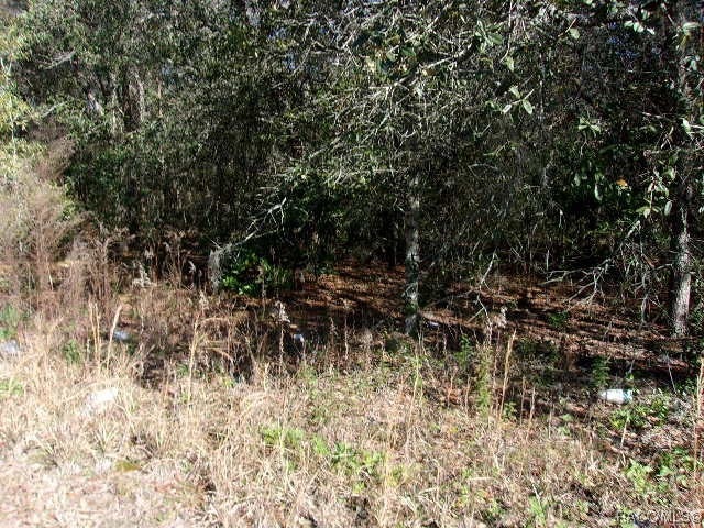 Sold $24,000 • Co-Listing Agent