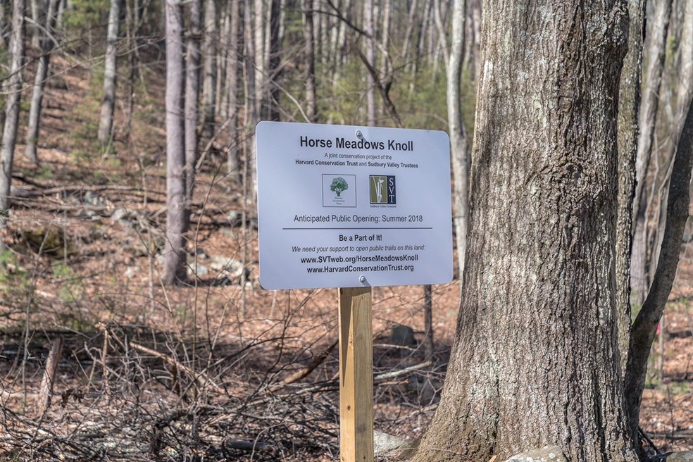 1 Sherry Rd, Harvard, MA 01451 - photo 1