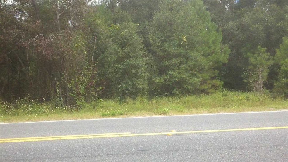 0 Carter Rd, Crawfordville, FL 32327 - photo 1
