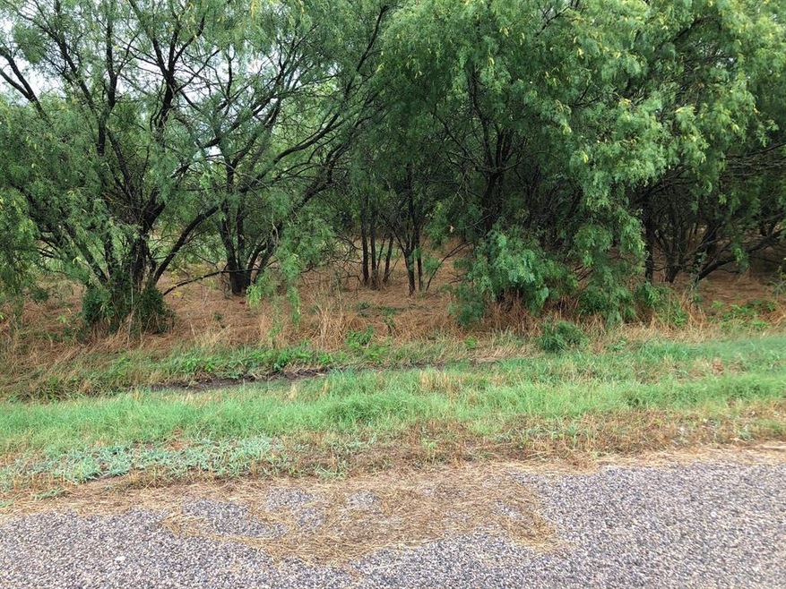 22219 Prairie Dr & Grassy Ln, Whitney, TX 76692 - photo 1