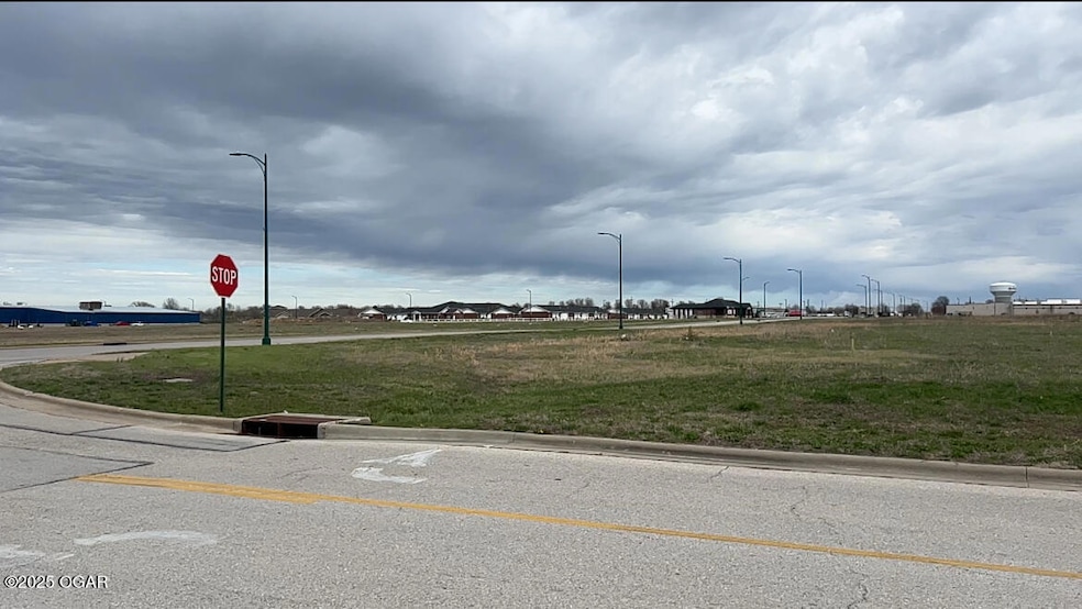 TBD George E Phelps Blvd, Carthage, MO 64836 - photo 1