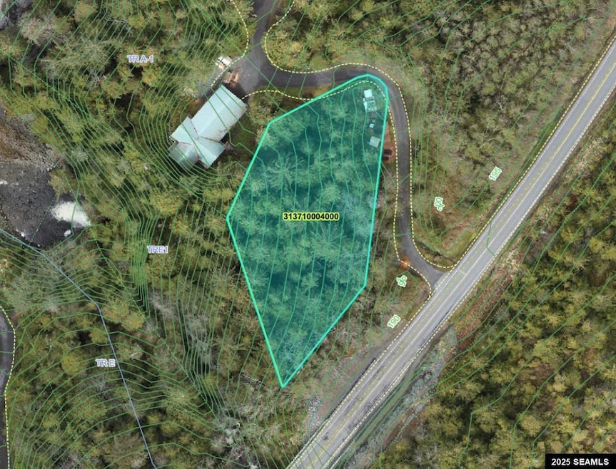 16000 BLK N Tongass Hwy unit Tract F 16000 BLK N, Ketchikan, AK 99901 - photo 1