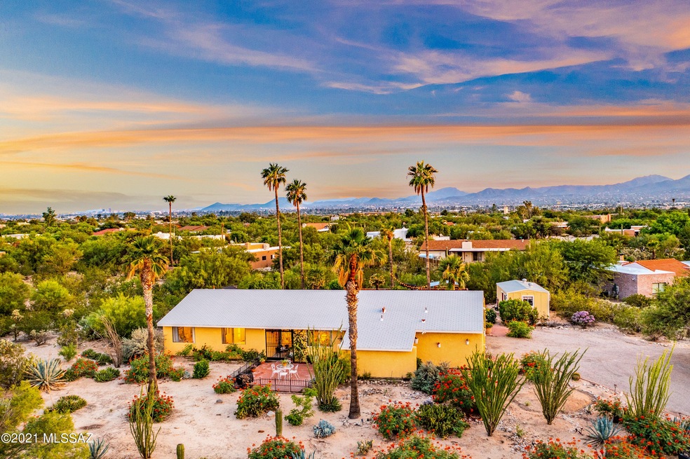 1161 W Sahara Palms Drive - MLS Images-1
