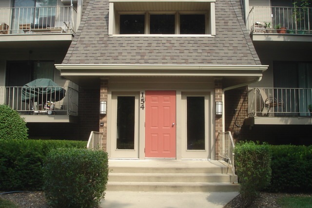 154 E Bailey Rd unit D, Naperville, IL 60565 - photo 1