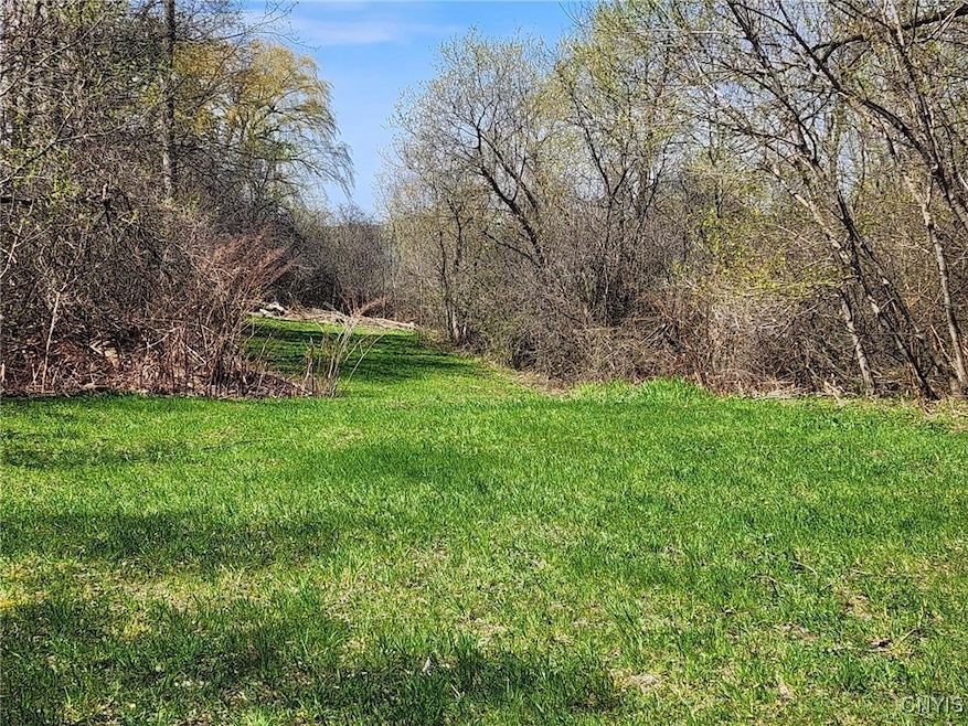 0 Lincoln St unit S1606430, Watertown, NY 13601 - photo 1