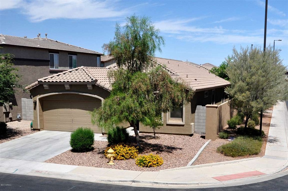 1364 E Frances Ln, Gilbert, AZ 85295 - photo 1