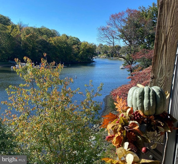 13 Spa Creek Landing unit 13A2, Annapolis, MD 21403 - photo 1