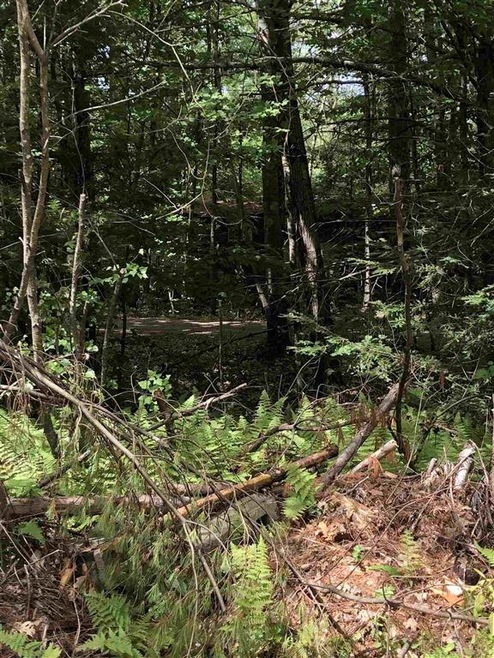 100 Bennington Depot Rd, Deering, NH 03244 - photo 1