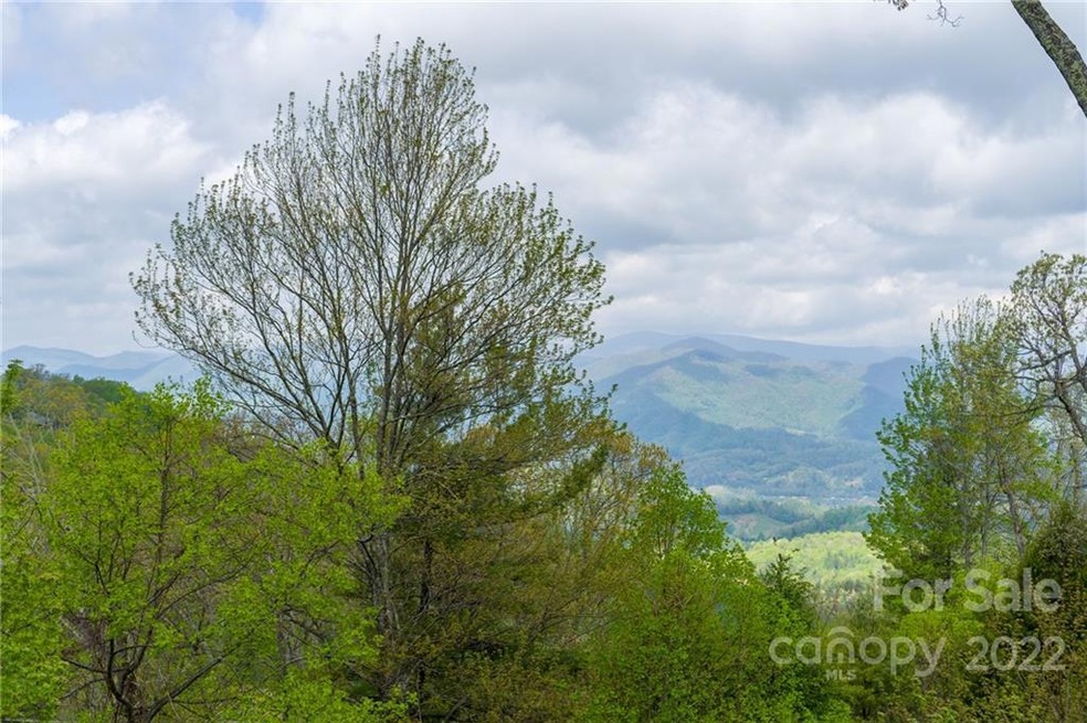 10 Stoney Falls Loop unit 4-203, Burnsville, NC 28714 - photo 1