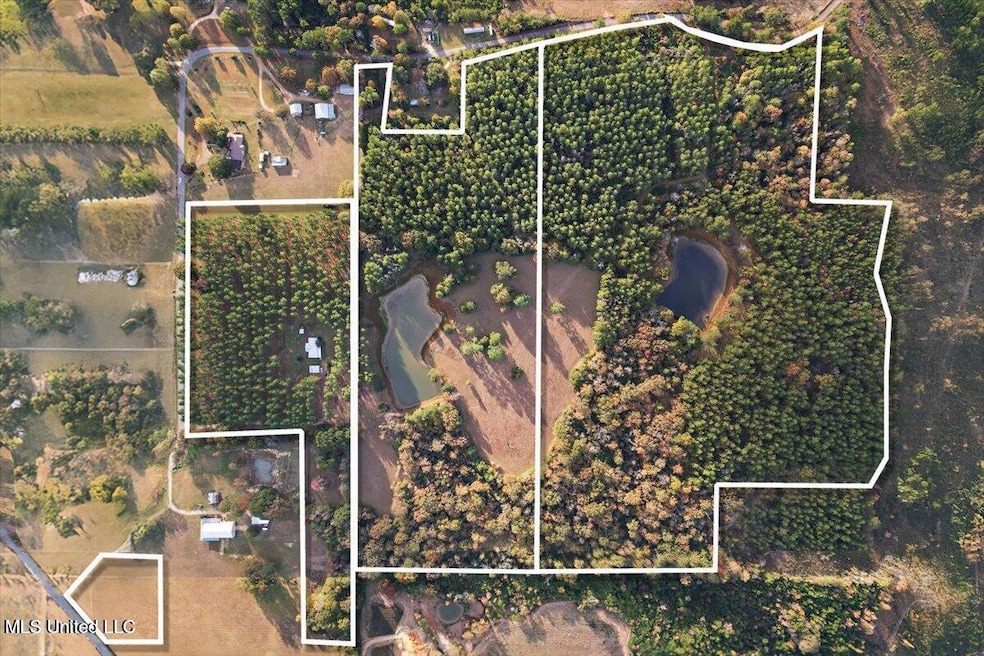 unlisted-address, Mendenhall, MS 39114 - photo 1