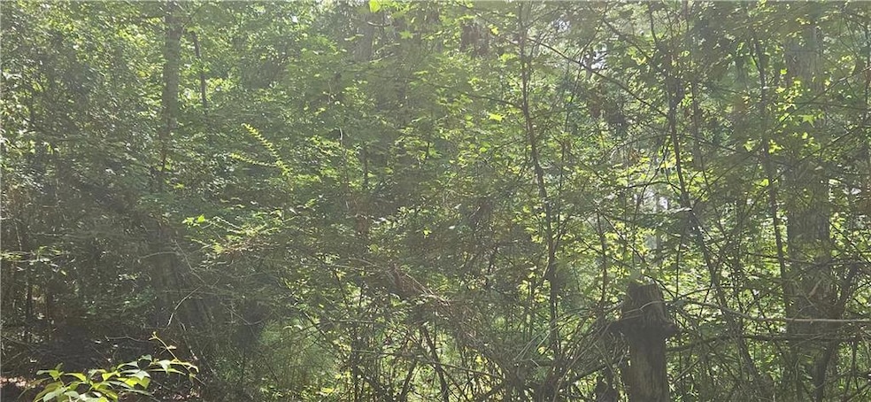 View of woods
