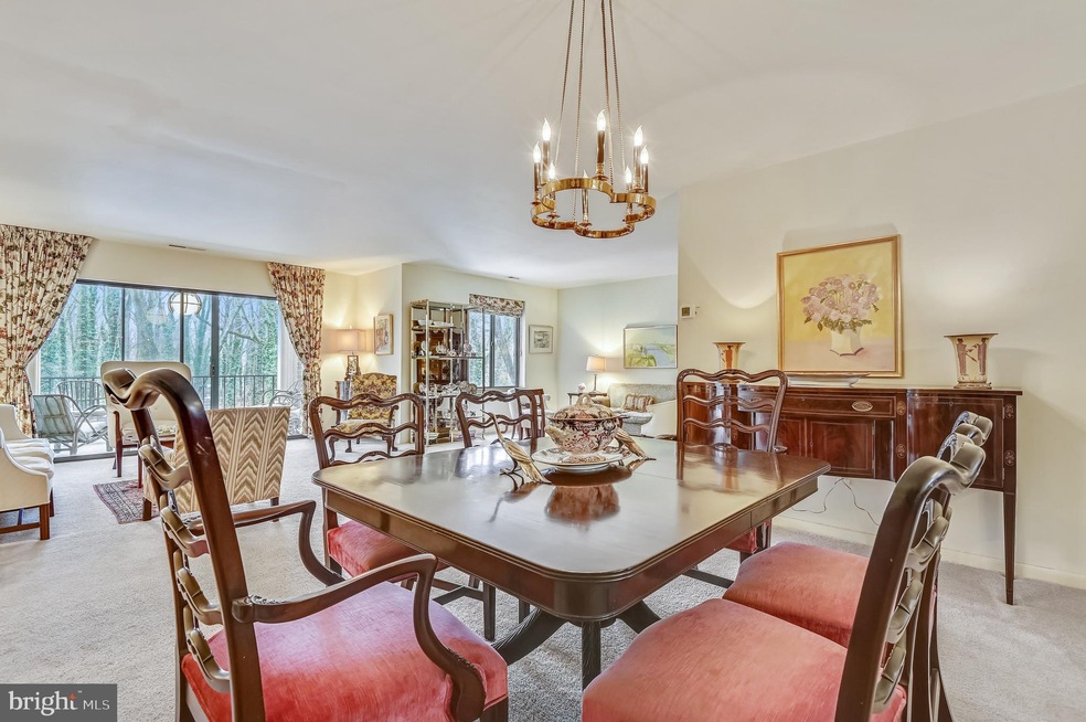 6350 Red Cedar Place unit 309, Baltimore, MD 21209 - photo 1