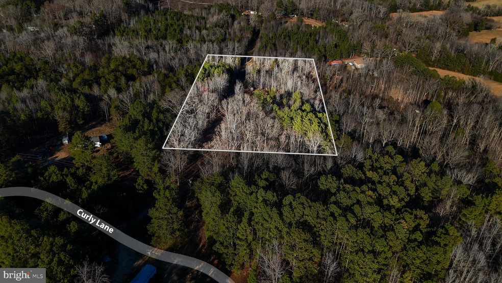 0 Curley Ln unit VALA2008968, Bumpass, VA 23024 - photo 1