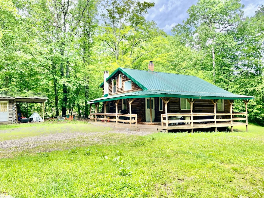 3776 E Handsome Brook Rd, Franklin, NY 13775 - photo 1