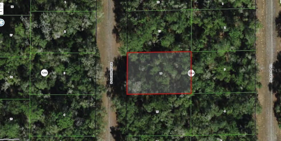 9395 N Sagamore Terrace, Citrus Springs, FL 34434 - photo 1