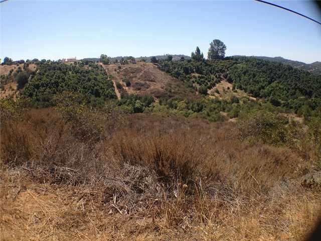 Lot extends to bottom of slope; neighbors lot is o