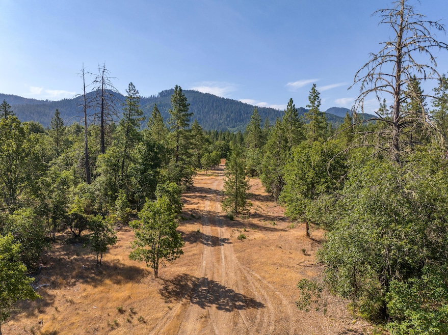 1257 Ridge Vista Dr, Cave Junction, OR 97523 - photo 1