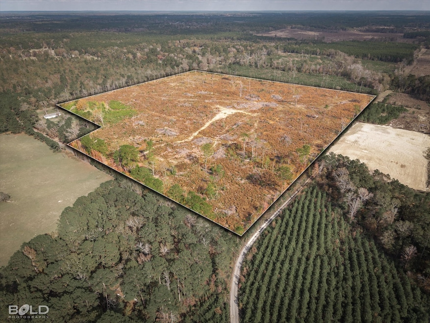 0 Pierce Rd, Logansport, LA 71049 - photo 1