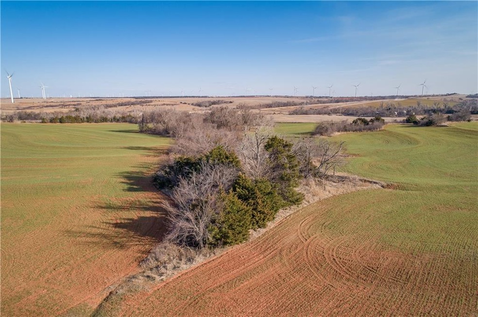 Deep ravine with seasonal water, good cover for wi