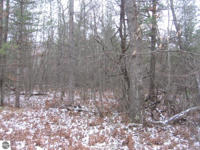 0 S Williams unit 1778653, Alger, MI 48610 - photo 1