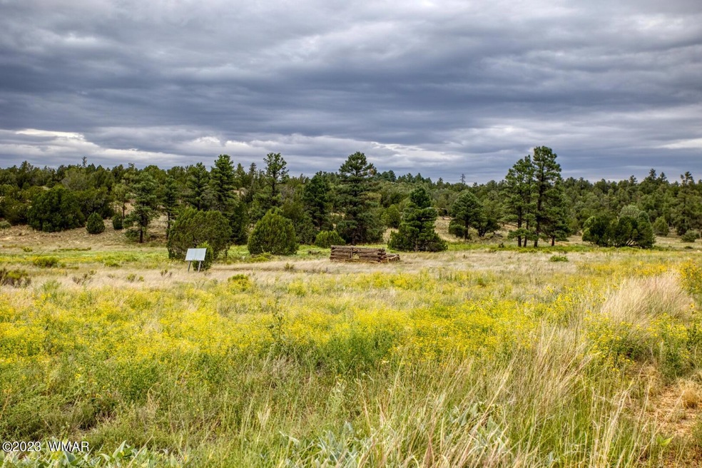 paxmanphoto_PAX_0648 (Large)