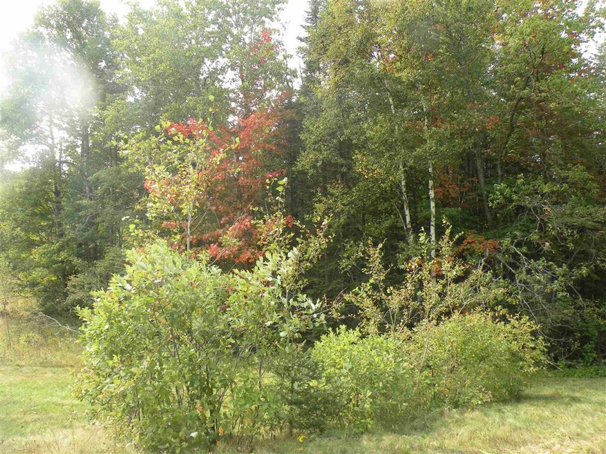 0 Route 3 N unit 4828785, Carroll, NH 03598 - photo 1