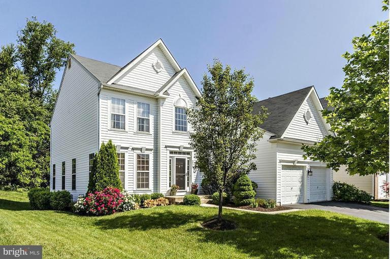 6056 Toomey Ln, Elkridge, MD 21075 - photo 1